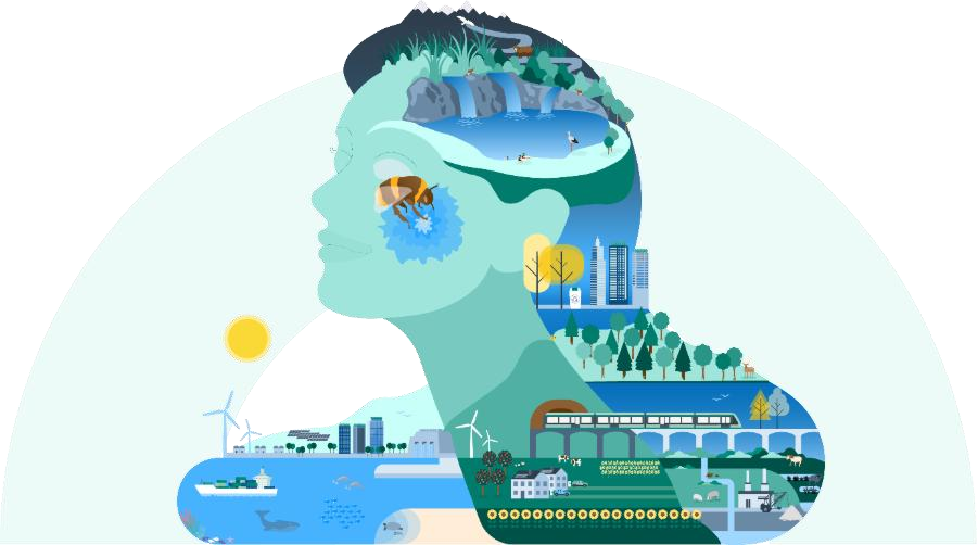 Grafika przedstawia sylwetkę ludzkiej głowy w profilu, wypełnioną ilustracjami symbolizującymi różne elementy środowiska i zrównoważonego rozwoju. Wewnątrz sylwetki widać krajobrazy – góry, lasy, rzeki, pola uprawne, wiatraki, panele słoneczne, zwierzęta oraz infrastrukturę miejską, taką jak budynki i kolej. W okolicy oka znajduje się pszczoła na kwiecie, co może symbolizować powiązanie człowieka z naturą. Całość ma spokojną, harmonijną kolorystykę w odcieniach zieleni i błękitu, podkreślającą ideę współistnienia człowieka i przyrody.